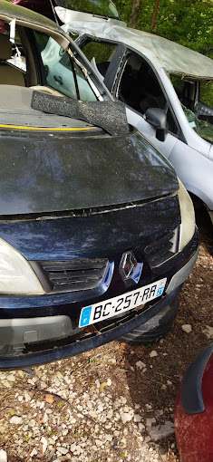 Aperçu des activités de la casse automobile CAMBOUIS AUTO située à COURLAOUX (39570)